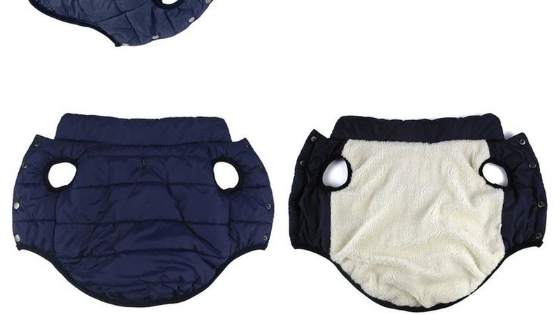 冷冻仓库租赁，如何选择更可靠的服务商？**